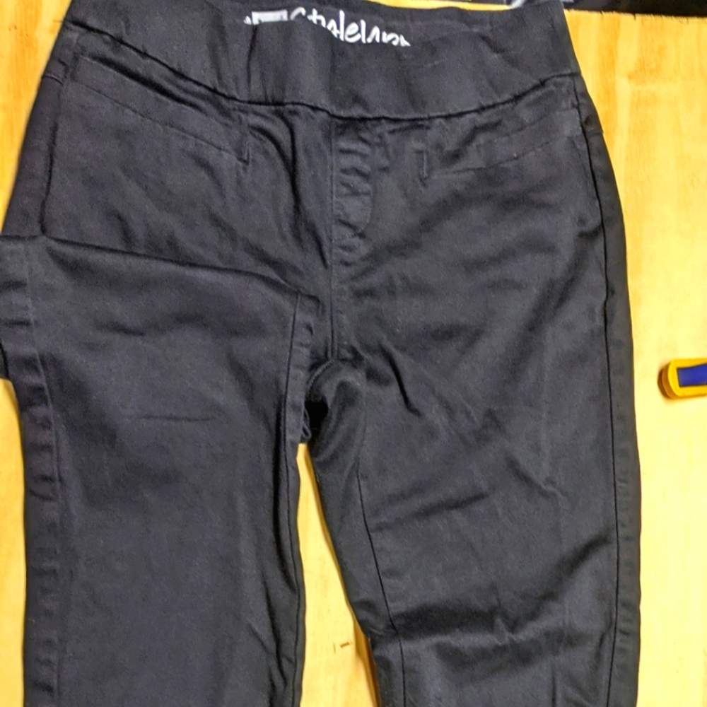 Lee Style Ups pants women's size 4 petite